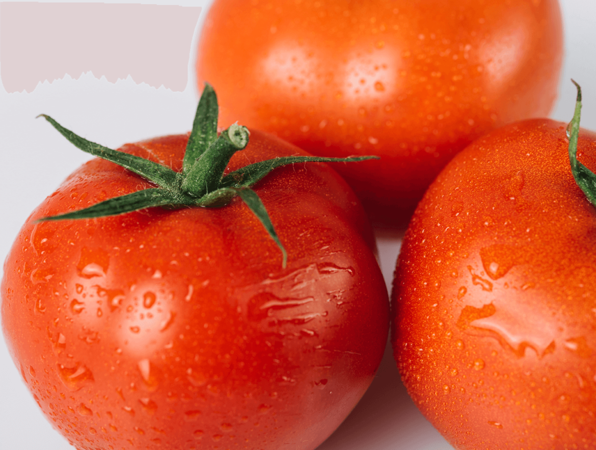 tomates-produtos